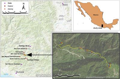 Effects of Scale on Multimodal Deixis: Evidence From Quiahije Chatino